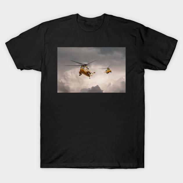 Sea Kings T-Shirt by aviationart